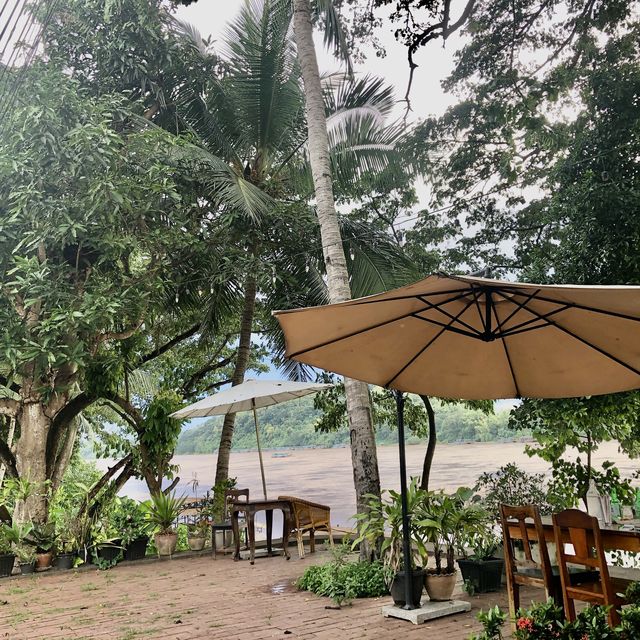 Sitting under Big Tree 