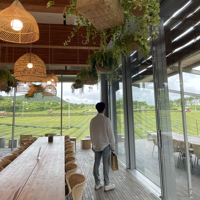 제주 녹차밭 카페🌿 오설록 이니스프리 💕