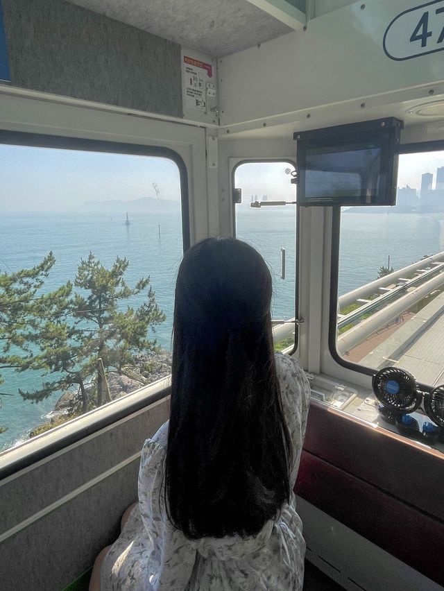 스카이캡슐타고 부산 오션뷰 감상하기❣️
