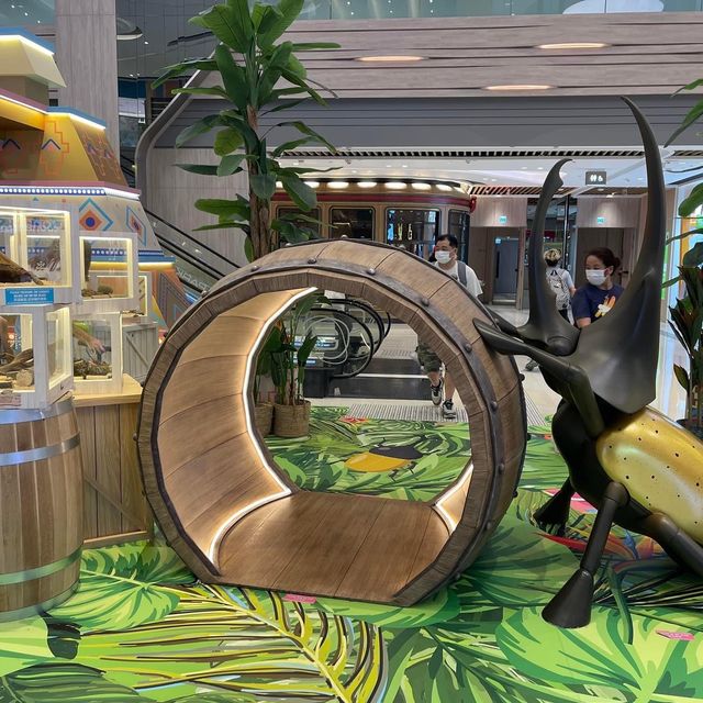 甲蟲🐞王國大冒險‼️小型甲蟲🪲展覽 甲蟲🐞王國大冒險‼️小型甲蟲🪲展覽