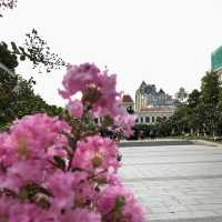 เดินเล่นที่จัสตุรัสโฮจิมินห์ เยือนถิ่นเวียดนาม
