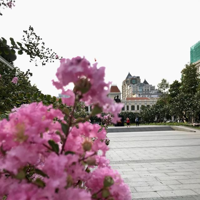 เดินเล่นที่จัสตุรัสโฮจิมินห์ เยือนถิ่นเวียดนาม