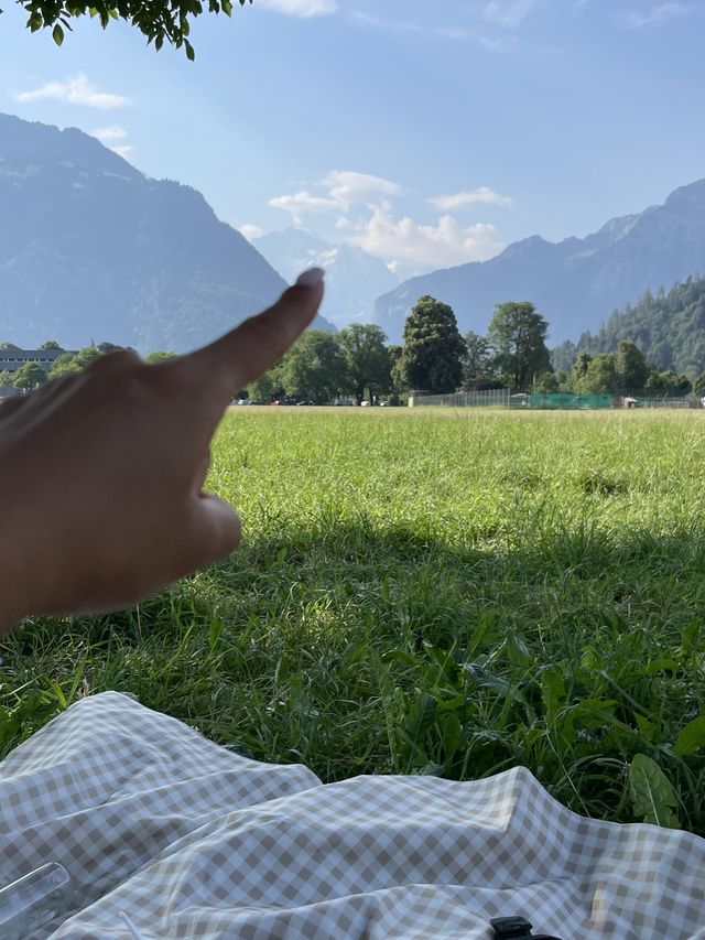 스위스 융프라우 뷰 피크닉 어때요🏔