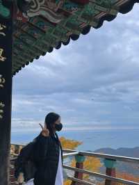 [경남/남해]남해의 핫플 보리암까지 단풍구경겸 등산하기🍁