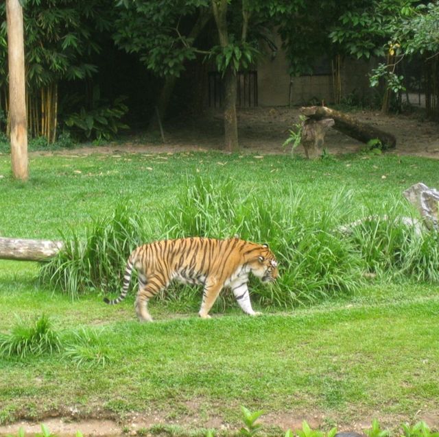 Lost World of Tambun Theme Park