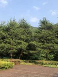 미동산수목원.  산책하기 딱 좋은 청주 외곽 여행지