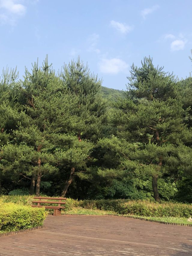 미동산수목원.  산책하기 딱 좋은 청주 외곽 여행지