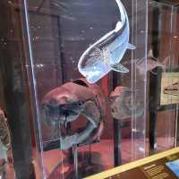 Smithsonian Museum of Natural History 