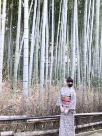 京都＊青蓮院門跡