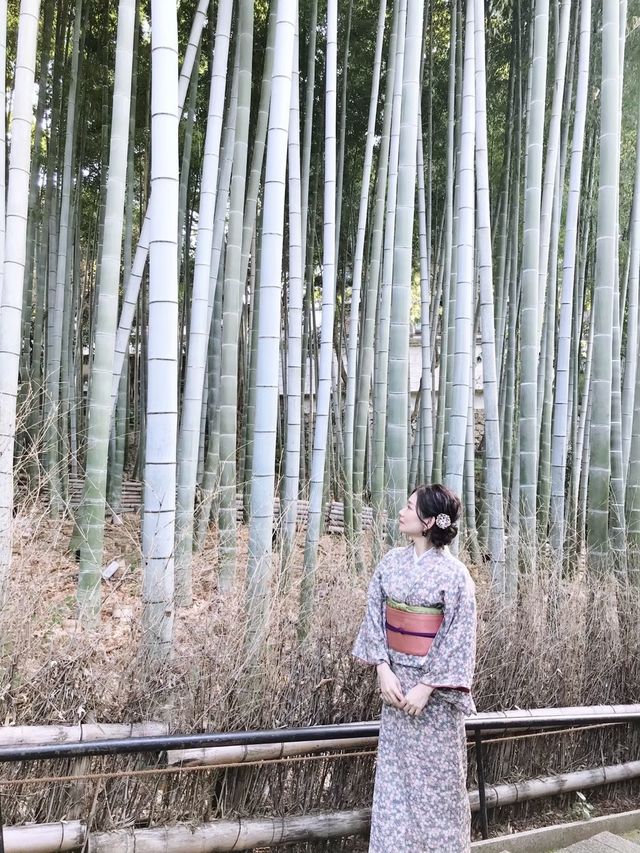 京都＊青蓮院門跡