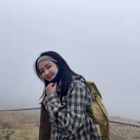 등린이도 인내만 있다면 가능한 한라산 🏔️