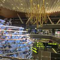 Qatar 🇶🇦 airport!