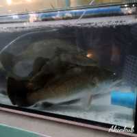 ยกทะเลมาไว้ที่ตลาดสดธนบุรี