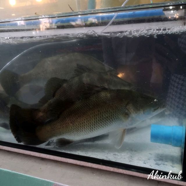 ยกทะเลมาไว้ที่ตลาดสดธนบุรี