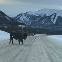 Am Epic drive through the Northern Rockies .