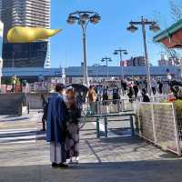 Sightseeing in Sumida River