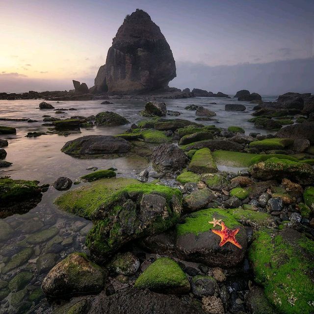 PAPUMA BEACH : JEMBER