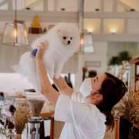 The Kottage Cafe คาเฟ่สีขาวสไตล์คันทรีริมทุ่งนา