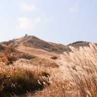 가을 억새 명소 경남 '황매산'🍂🌾