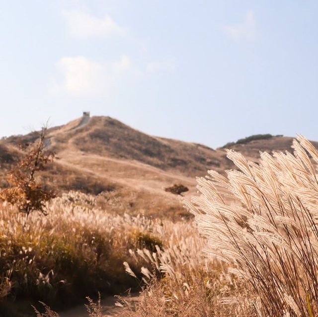 가을 억새 명소 경남 '황매산'🍂🌾