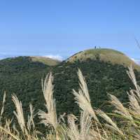 台北大屯群峰步道+季節限定芒草景觀｜主、南、西峰連走大挑戰，我完勝了！