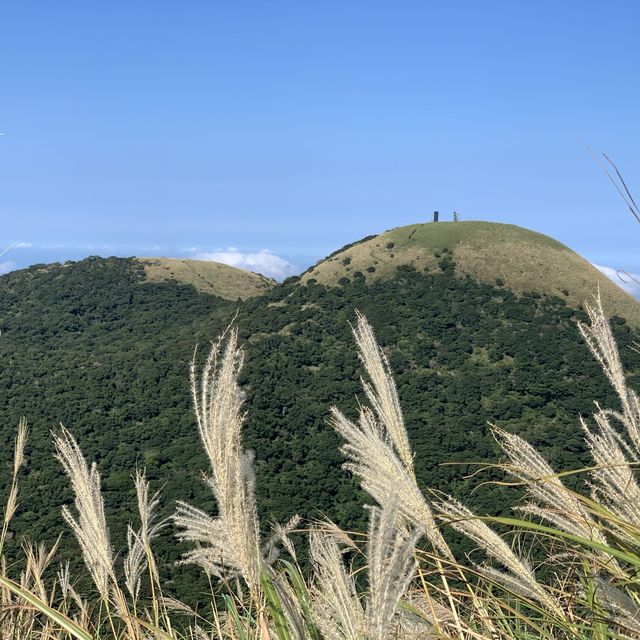 台北大屯群峰步道+季節限定芒草景觀｜主、南、西峰連走大挑戰，我完勝了！