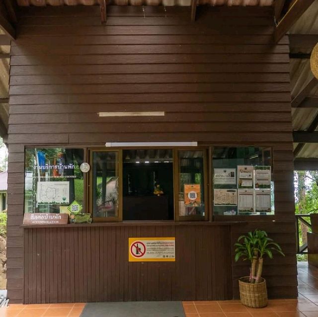 สายแค้มปิ้งต้องโดน ลานกางเต็นท์บนดอยสุเทพ