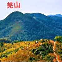三山連走－觀音山、羌山、靈會山