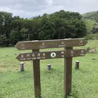 A memorable hike along Yuen Tsuen Ancient Trail 