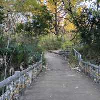 【無料で楽しめちゃう！】東京・用賀の砧公園は自然がいっぱい