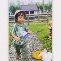 Manggala Farm Cilongok Purwokerto