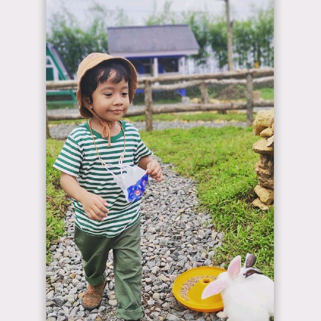 Manggala Farm Cilongok Purwokerto Manggala Farm Cilongok Purwokerto
