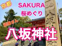 京都　SAKURA 桜めぐり❗️八坂神社の桜に感動❗️