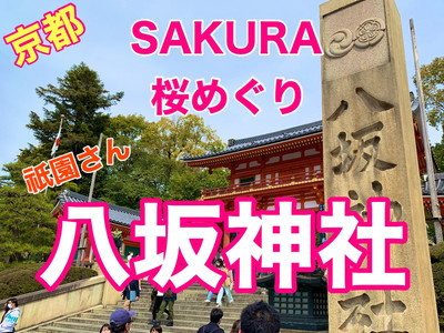 京都 SAKURA 桜めぐり❗️八坂神社の桜に感動❗️ | Trip.com 京都
