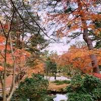秋の兼六園