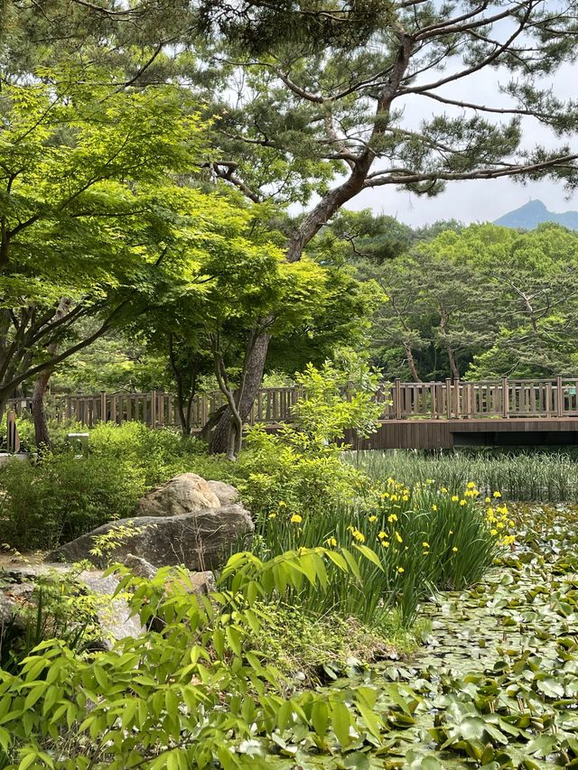 동화 속 풍경을 만날 수 있는 서울대공원 숨은 포토존