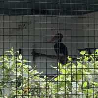 市區觀鳥好地方