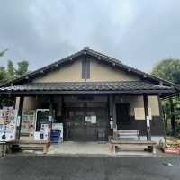 【鳥取県:三朝温泉】三朝温泉の起源の地、株湯へ。