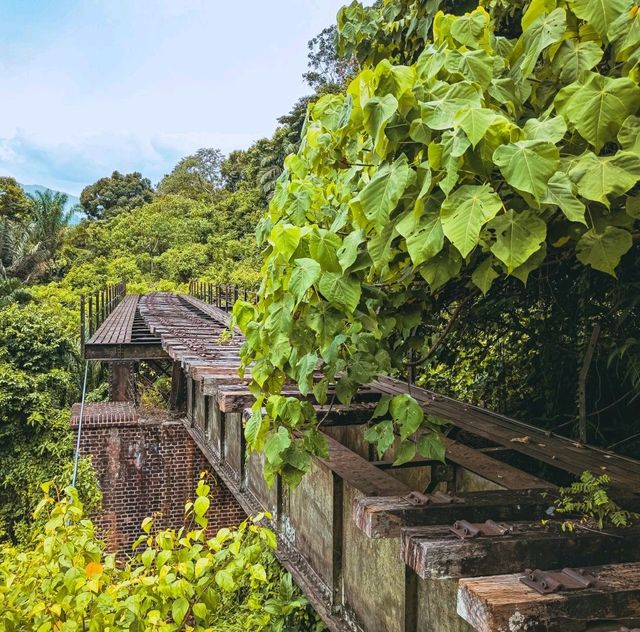 Century Old Taiping Railway Tunnel