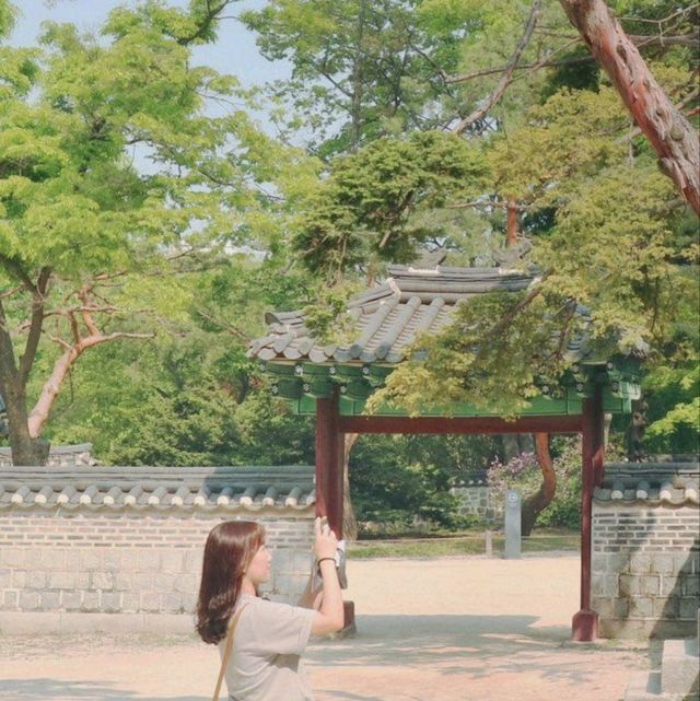 우리나라 최대의 궁중정원을 품은 "창덕궁& 창덕궁 후원"