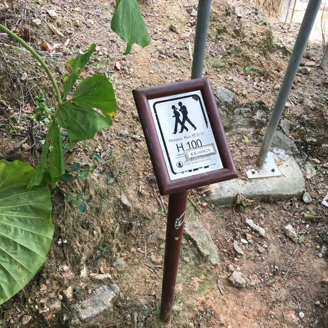 🍂 ⛰ 秋涼登高之選 – 龍脊