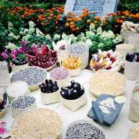 The Hanging Gardens - Mexican Roots 