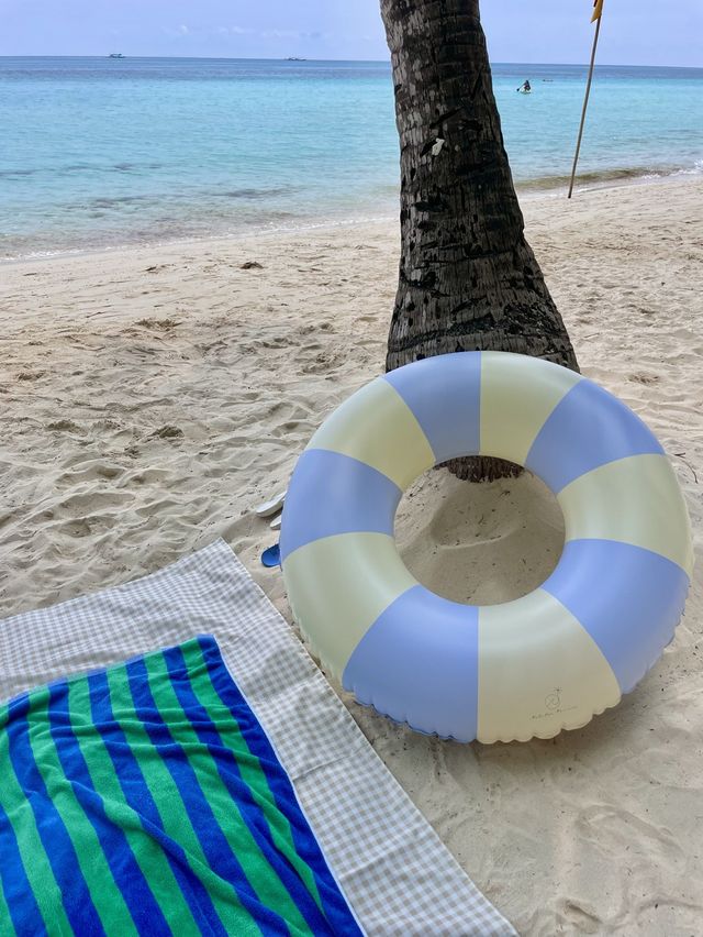 뜨거운 여름, 바다 피크닉은 어때요🌊