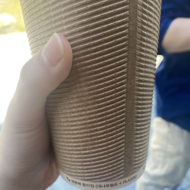 담양 죽녹원 대나무 숲길을 걸어보아요🎋