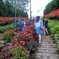 Dalat Flower Garden