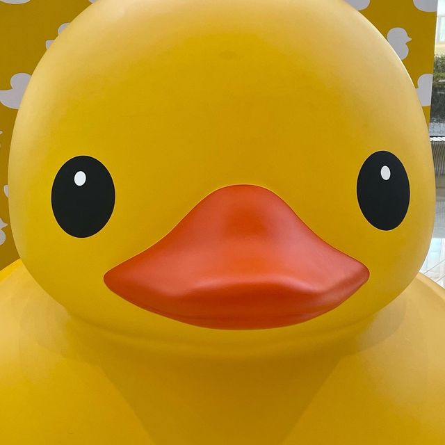 8년만에 석촌호수에 나타난 러버덕🐥 :주차꿀팁✨
