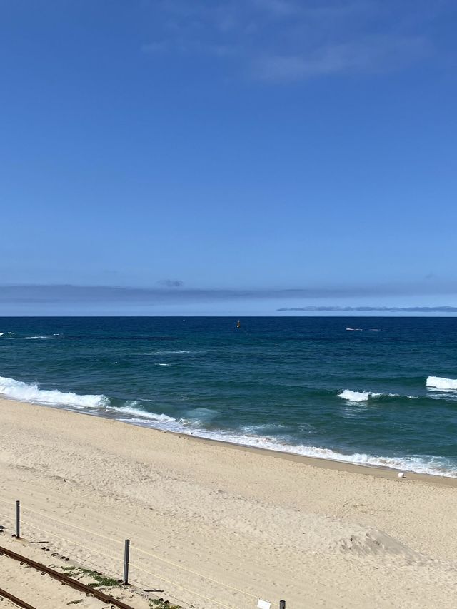 다가오는 겨울 여행, 정동진으로 🌊