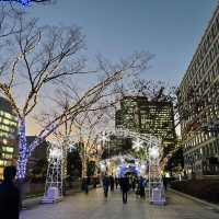 【大阪府】世界を旅するアヒルさんが今年も大阪へ！！