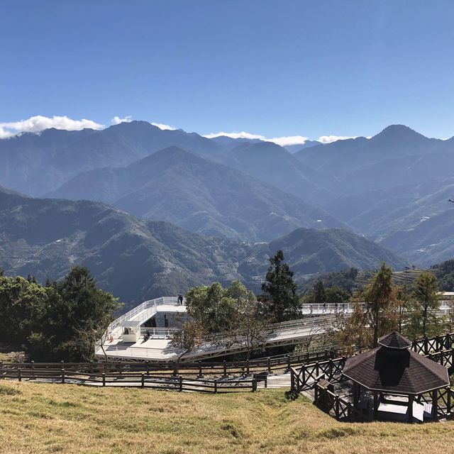 南投青青草原