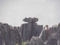 Stone Forest Geological Park@Kunming